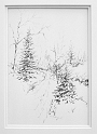 Forest Path, 10x7 inches, graphite pencil, 2005
